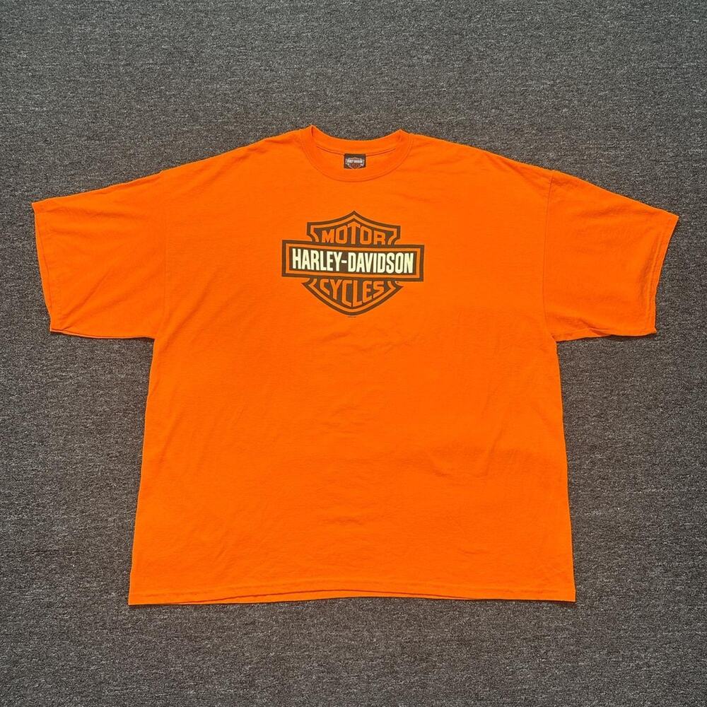 Vintage 2010 harley davidson shirt